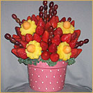 Berries & Daisies